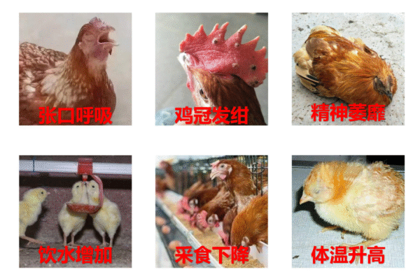 微信图片 2025 10 27 131055 769