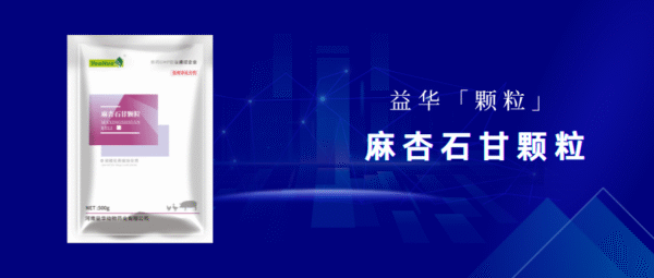 麻杏石甘颗粒 3 麻杏石甘颗粒