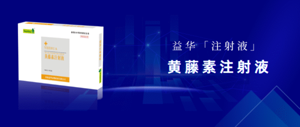 黄藤素注射液
