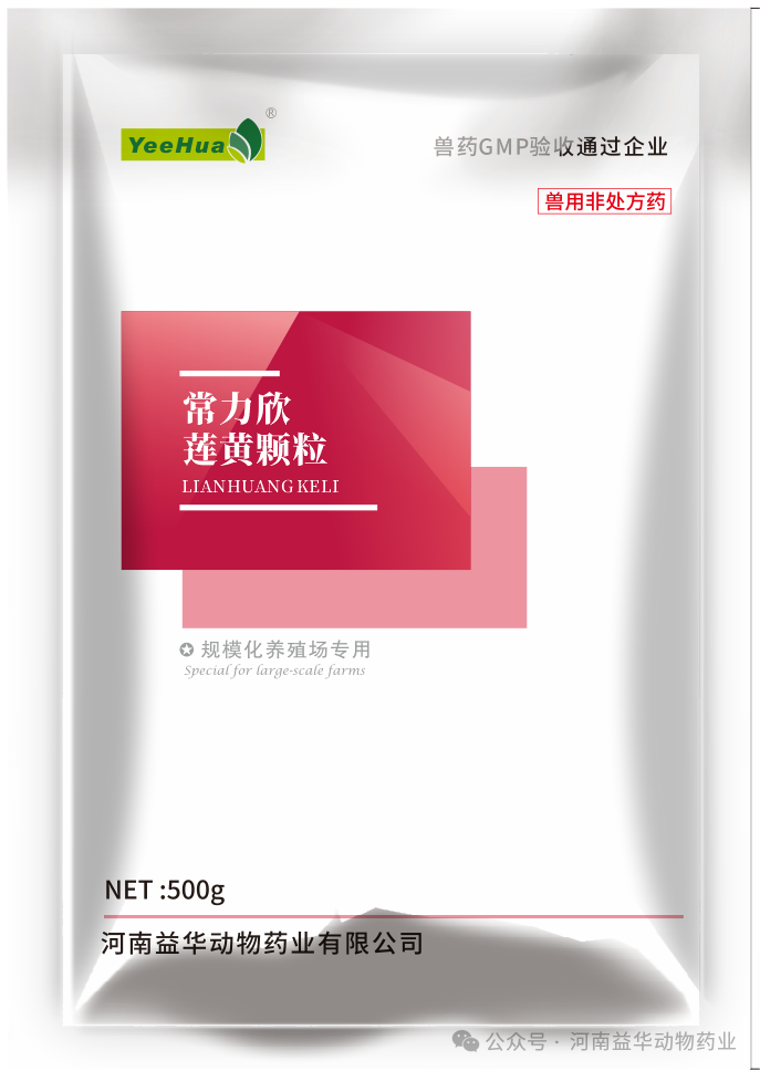 常力欣||莲黄颗粒|清热燥湿，凉血止痢