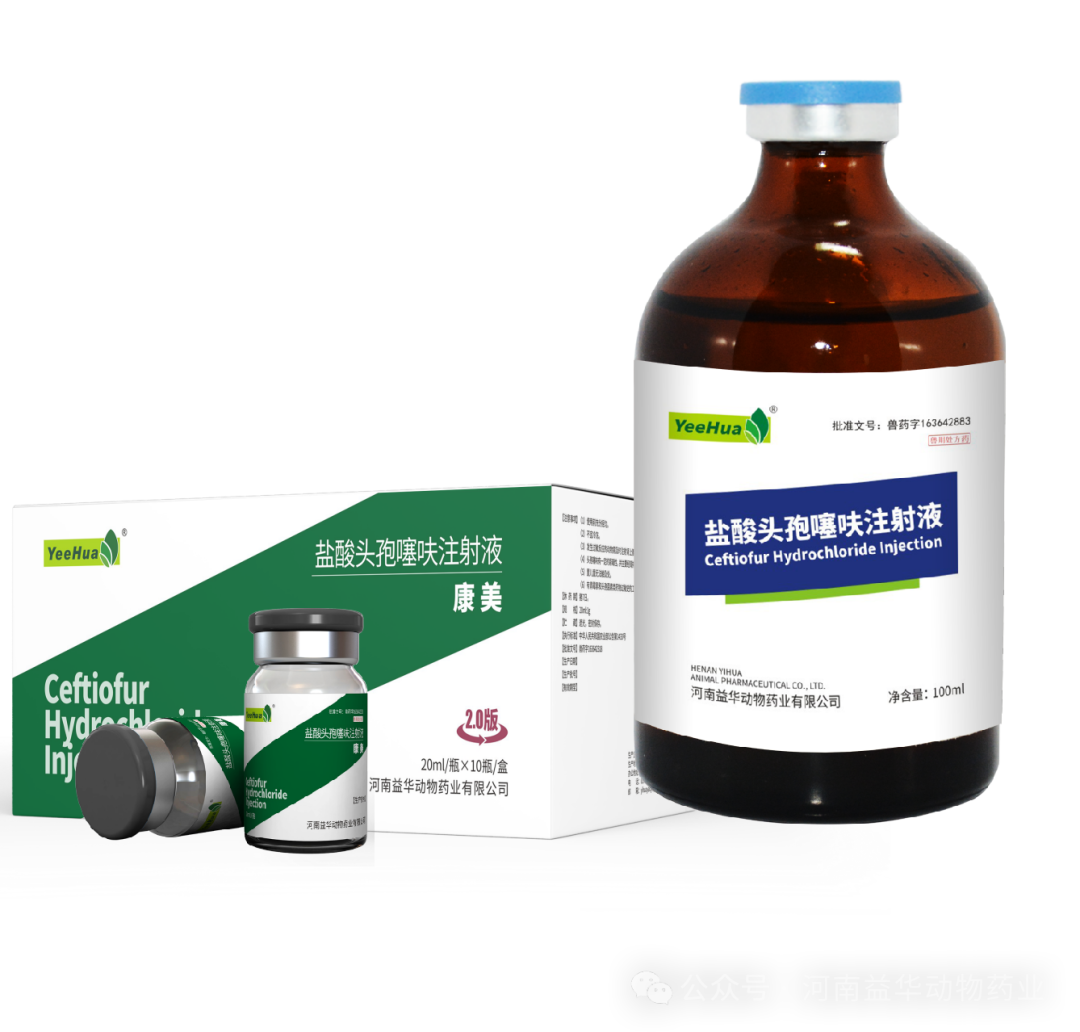 康美2.0 1 康美2.0