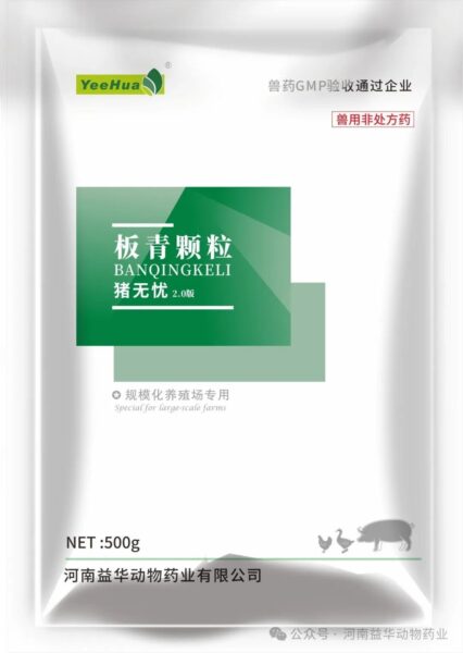 板青颗粒|益华猪无忧