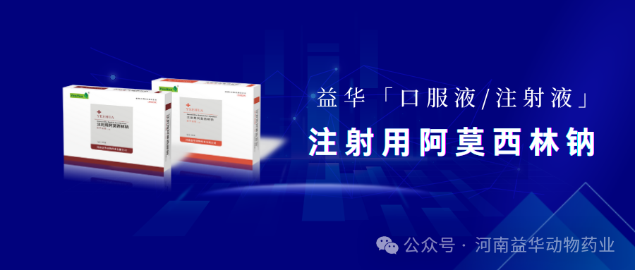 益华益能||注射用阿莫西林钠 2 益华益能||注射用阿莫西林钠