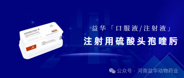 立欣||注射用硫酸头孢喹肟 