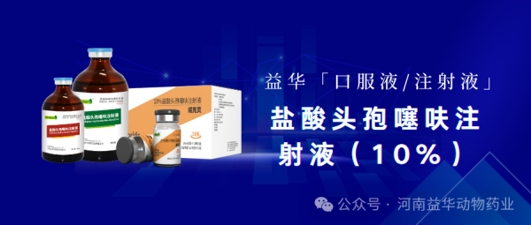 诺克灵2.0||10%盐酸头孢噻呋注射液 3 诺克灵