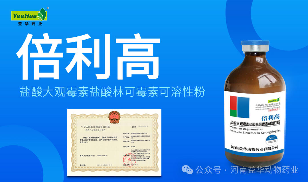 倍利高||盐酸大观霉素盐酸林可霉素可溶性粉 5 倍利高||盐酸大观霉素盐酸林可霉素可溶性粉